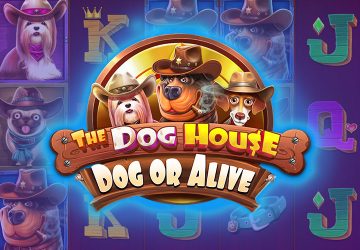 Игра The Dog House Dog Or Alive в Битзамо казино